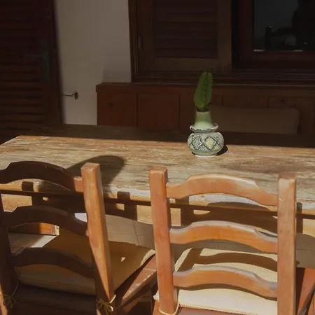 Pura Vida Surf House אכסניה לה אוליבה