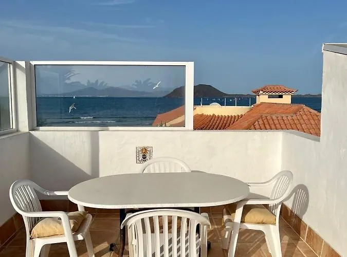 אכסניה Pura Vida Surf House