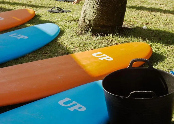 Pura Vida Surf House * לה אוליבה