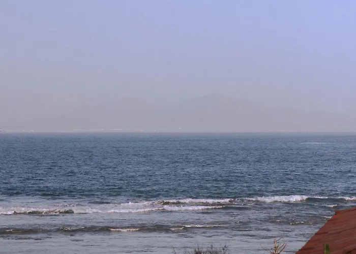 אכסניה Pura Vida Surf House