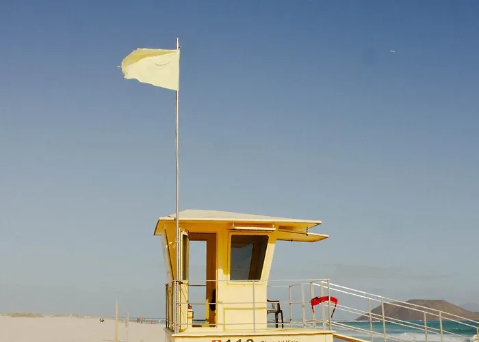 Pura Vida Surf House אכסניה *