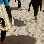 Pura Vida Surf House *