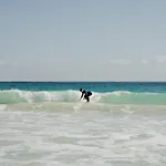 אכסניה Pura Vida Surf House