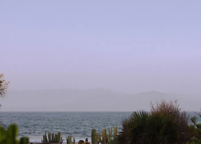 Pura Vida Surf House La Oliva